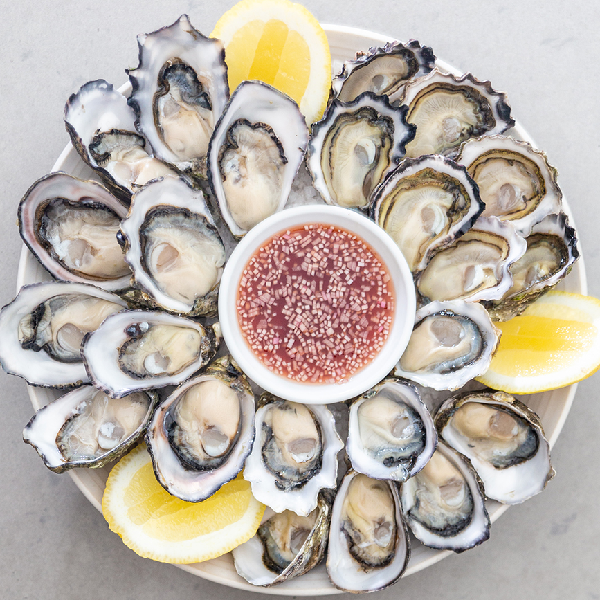 Oysters on a Plate