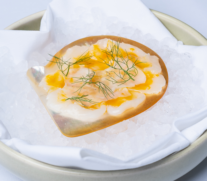 Scallop Sashimi 6